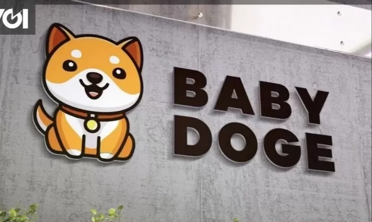  Baby Doge  بابي دوج 