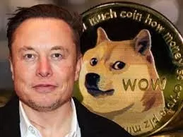 خبر صادم .. مؤسس Dogecoin يحذر أحد أكبر اليوتيوبرز في العالم 