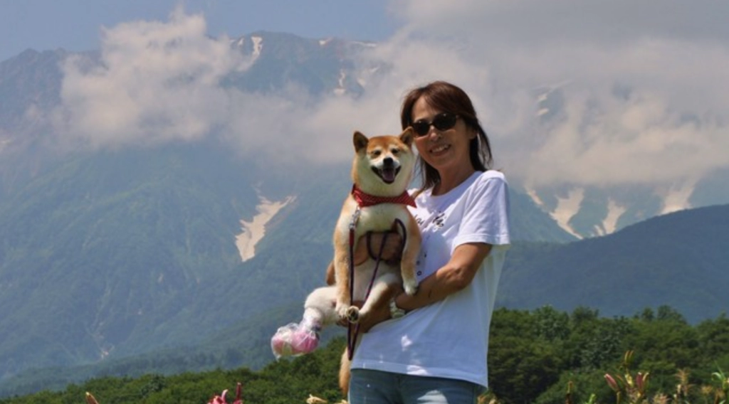 مجتمع التشفير يشعر بالقلق حول صحة كلبة الشيبا إينو “كابوسو”